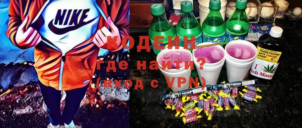 хмурый Верея