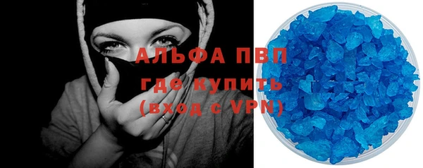 хмурый Верея