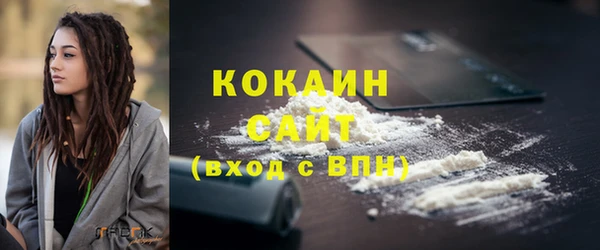 хмурый Верея