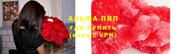 хмурый Верея