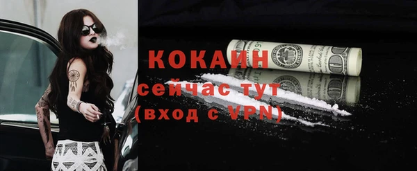 хмурый Верея