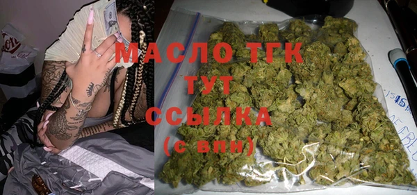 хмурый Верея
