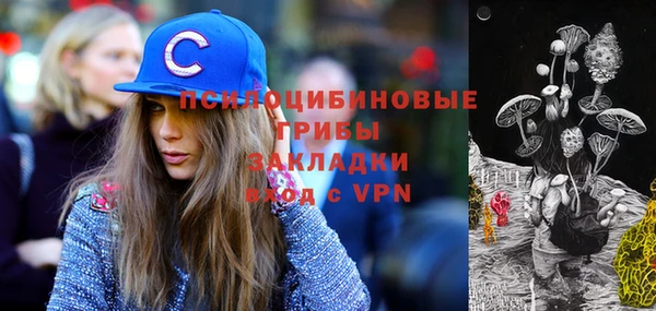 хмурый Верея