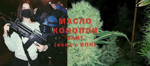 хмурый Верея