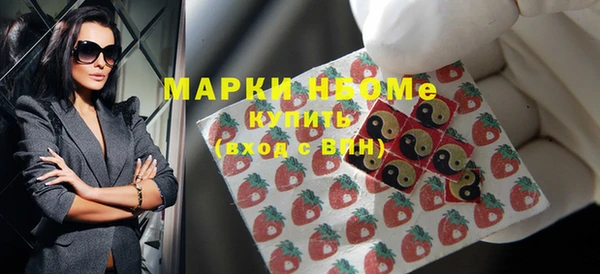 хмурый Верея